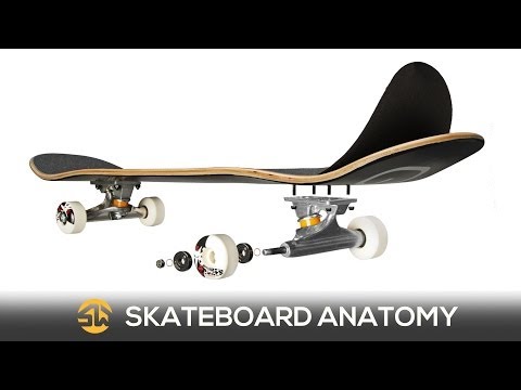 Skate Basics: The Anatomy of a Skateboard