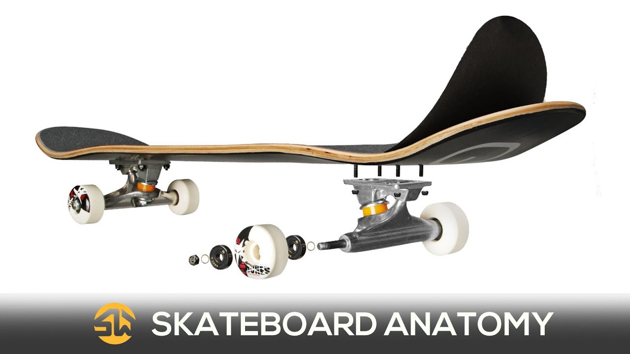 Skate Basics: The Anatomy of Skateboard - YouTube