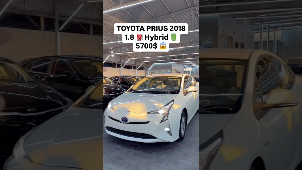 Гибрид✅🇦🇪