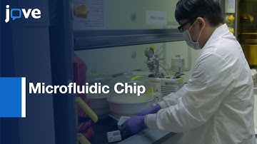 Single-Cell Based Co-Cultures In Deterministic Manner With Microfluidic Chip l Protocol Preview