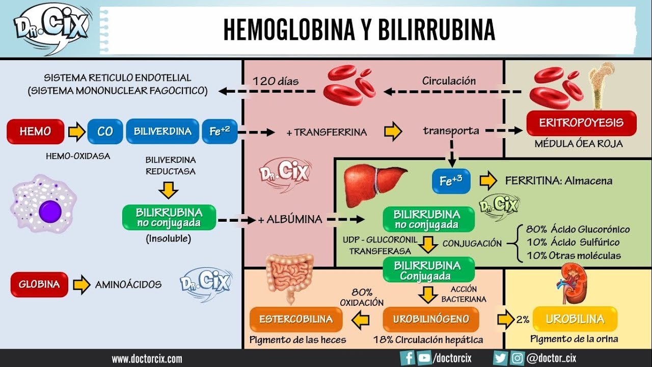 Hemoglobina glicosilada alta sintomas