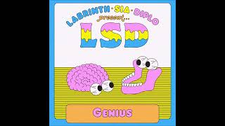 LSD  Genius Instrumental Resimi