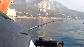 Рыбалка на Чёрном море в Крыму. видео Рыбалка в Крыму: на озерах и море. Платно и бесплатно. Лучшие места
