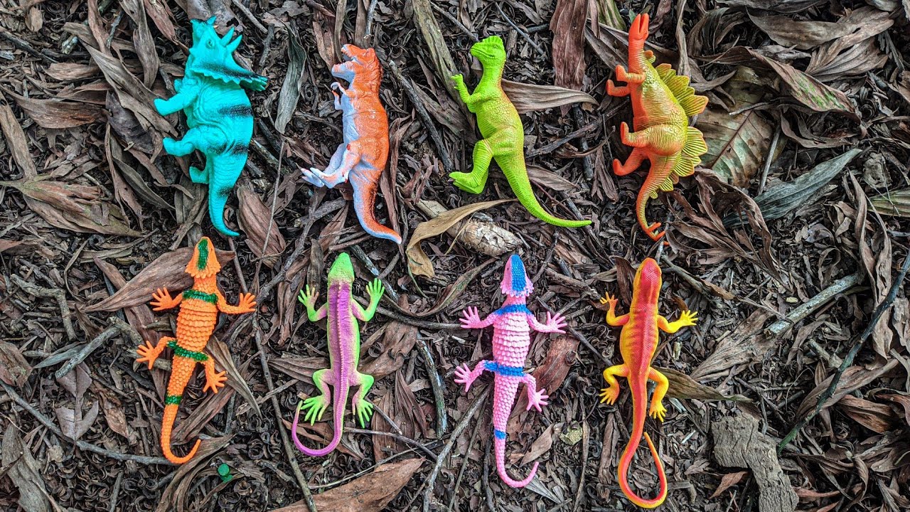 Hunt Dinosaurs And Cute Animals In The Garden, Iguana, Gecko, Stegosaurus, T-Rex - Part1140