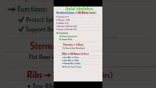 🦴 Skeleton System in 60 Sec ⚡ | NEET Quick Revision 🔥 #biology #neet2026 #neetexam