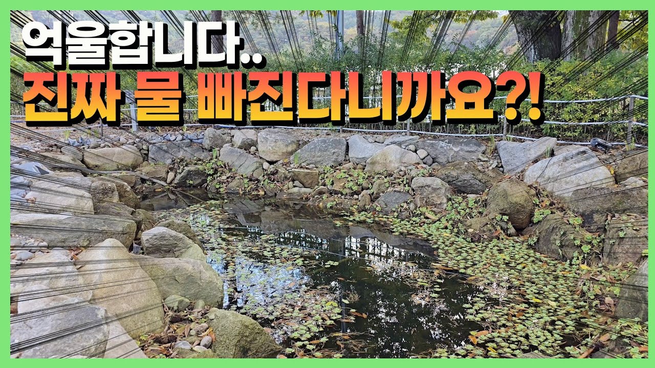 70톤의 거대 연못 물 진짜 빠지고 있는데요?! 에? - YouTube