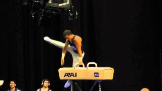 Matthew Felleman -- Pommel Horse -- 2012 Visa Championships -- Sr. Men -- Day 2