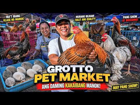 ANG DAMING KAKAIBANG MGA MANOK NGAYON! | Grotto Pet Market Dogs, Cats and Birds