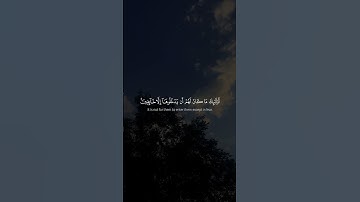 سورة البقرة - الآية 114 - تلاوة ماهر المعيقلي