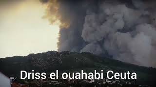 نداء استغاثة عاجل لمساعدة ضحايا حريق غابة مولاي عبد السلام قبيلة بني عروس