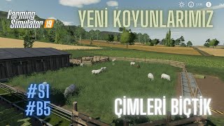 FS19 KOYUN ALDIK VE ÇİMLERİ BİÇTİK #fs19 #farmingsimulator19 #fs19map