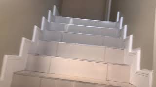 IMG 0247