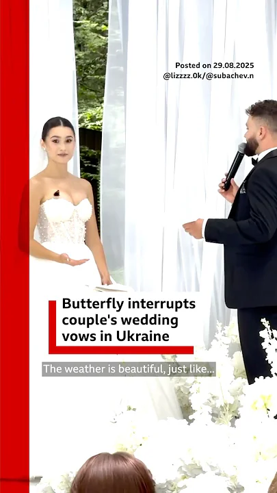 Butterfly interrupts couple’s wedding vows in Ukraine. #WeddingVows #Wedding #BBCNews
