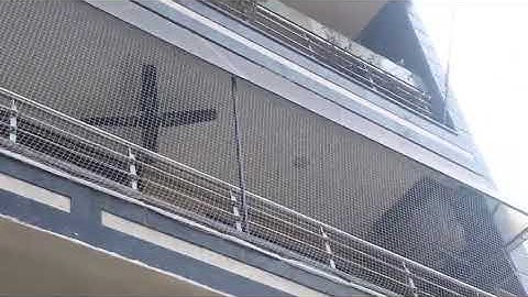 bird net installation cat monkey safety net call 8800948180 #birdnet