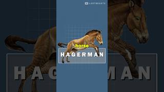 Where Horses ACTUALLY Came From