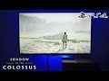 SHADOW OF THE COLLOSUS (PS4) GAMEPLAY