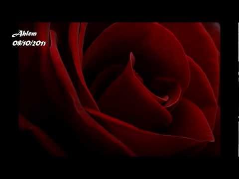 قد حبي مافيش وردة Ahlem أحلام