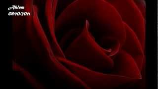 .قد حبي مافيش ...وردة - Ahlem أحلام