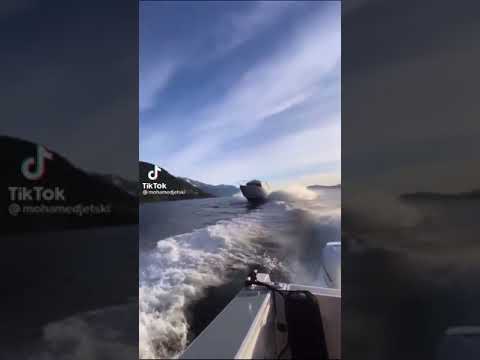 واعطيلوا العربون