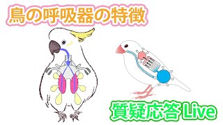 鳥の呼吸器の特徴【質疑応答ライブ】