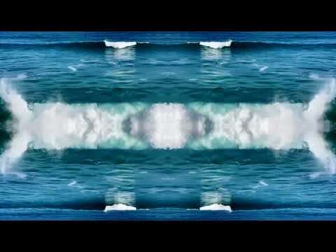 Jon Hopkins & Olafur Arnalds • FOREVER HELD • Ringu Tulku Rinpoche