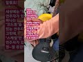 세상에는 두종류의 연주자가 있다구요!! #애드립 #기타솔로 #오부리 #즉흥연주 #기타레슨 #재즈 #블루스