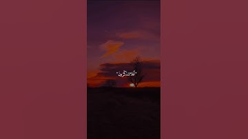 اكتب شيء تؤجر عليه 💚😴 | القارئ عبد الرحمن مسعد
