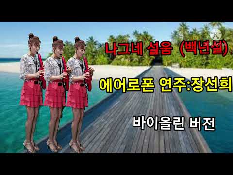 장선희 색소폰~<strong>나그네설움</strong>( 백년설)에어로폰