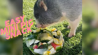 * EASY* Mini Pig (julianna pig)  Enrichment/Snack! | KristenLeannimal