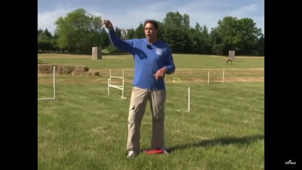 Marker Training & Leash Pressure Part 1 YouTube