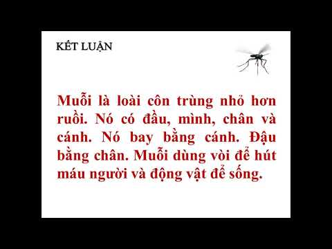 Tuần 27 - TNXH: Con muỗi
