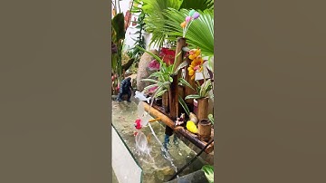 Tự làm hồ cá thác nước ống tre tiểu cảnh sân vườn
