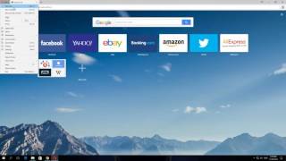 How To Open A New Window in Opera screenshot 5