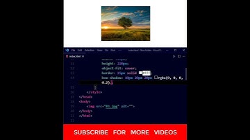 CSS image hue rotate animation #shorts #csstricks #css #css3