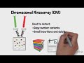 Genetic Diseases 3: Overview of Genetic Testing Technologies