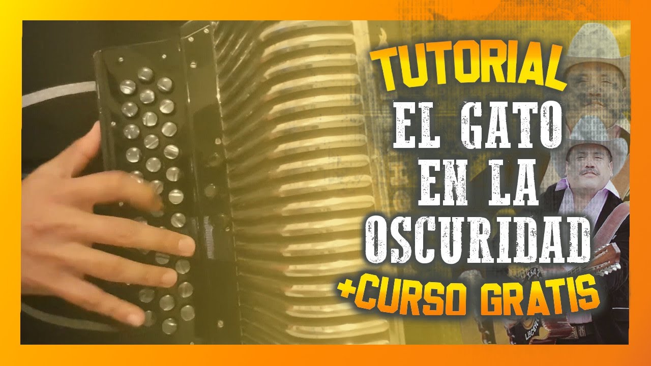 El Gato en la Oscuridad ACORDEÓN Curso Básico de REGALO 🎁 - YouTube