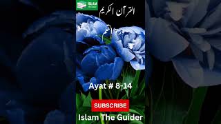 Surah Alqalam  Ayat 814  quran qurantilawat viral islam shorts