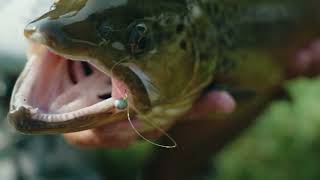 DUO Tetra Works Ultra Light Trout Fishing/MaguroProShop screenshot 1