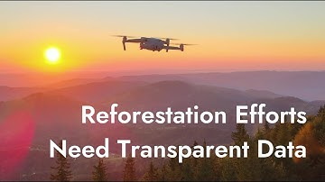 How Can Transparent Data Revolutionize Reforestation?