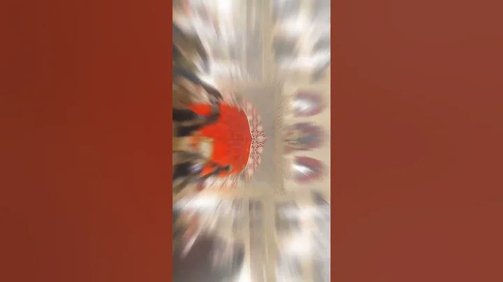 the amazing varmala concept in the palace resort jaipur ❤️❤️ #wedding #trending #fx #carzy #varmala