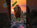 كلام بسيط بس ممكن يكون سبب في رضاك وسعادتك كلام من القلب كلام من ذهب الحياه تاملات اقتباسات كلام بسيط بس ممكن يكون سبب في رضاك وسعادتك كلام من القلب كلام من ذهب الحياه تاملات اقتباسات