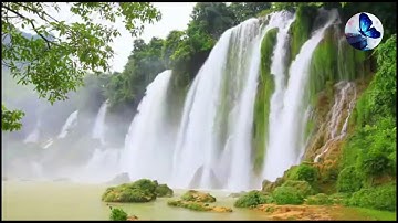 القارئ تميم الريمي تلاوة في غاية الروعة❤