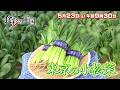 【食彩の王国】2026年5月23日（土）放送 予告動画
