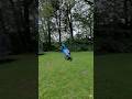 rc car off road