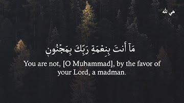 اجمل صوت❤️ واجمل تلاوة😍 بصوت الشيخ سالم الرويلي   مترجمة للانكليزية سورة القلم 🥰