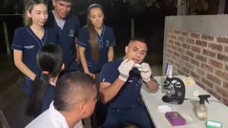 Colecta Seminal En Caninos Primer Entrega