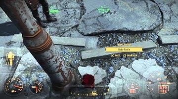 Fallout 4 Glitches: Floating Arm