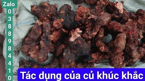 Tác dụng của củ khúc khắc ngọt (thổ phục linh), đẳng sâm rừng, sâm cau đen...