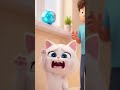 Poor cute cat only have short hand😿😿😿😿😿 #ai #cat #cute #pets #animals