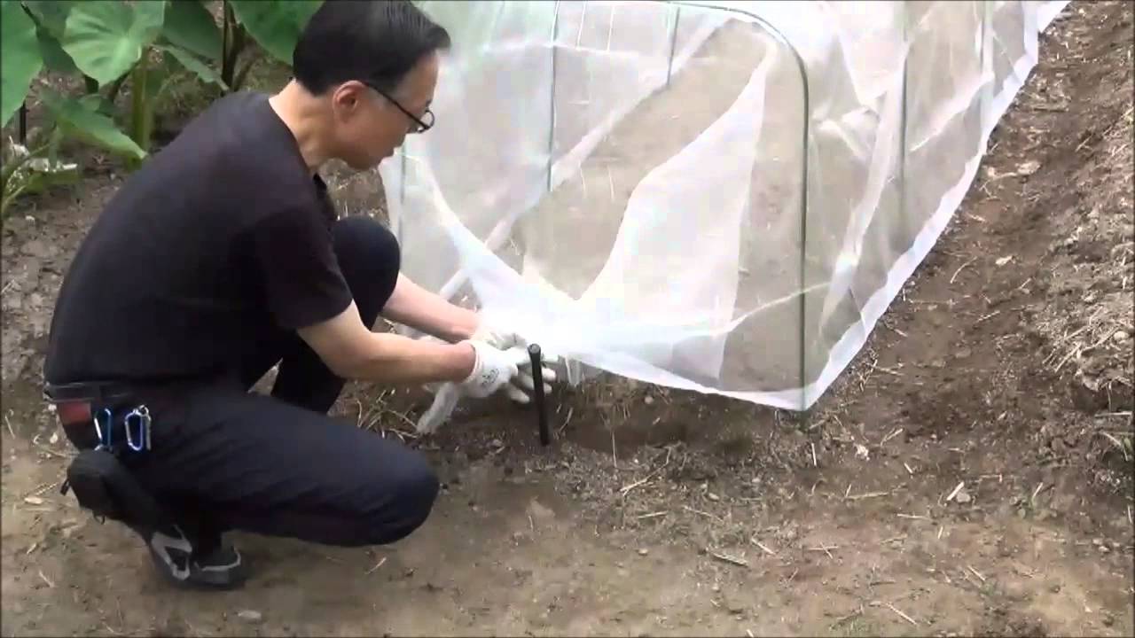 家庭菜園 従来のトンネル支柱より大きく使えて便利 角型トンネル支柱 Youtube